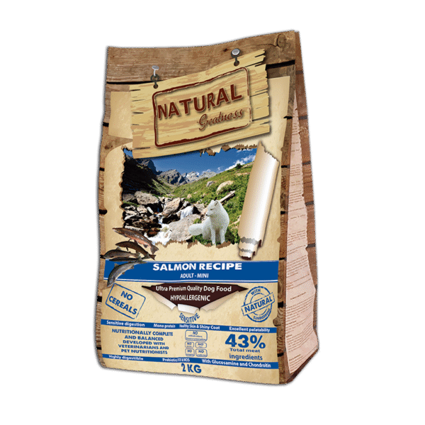 Natural Greatness Salmon Recipe Mini