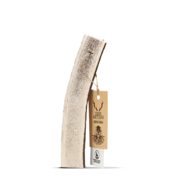 Asta de ciervo partida s - m - l