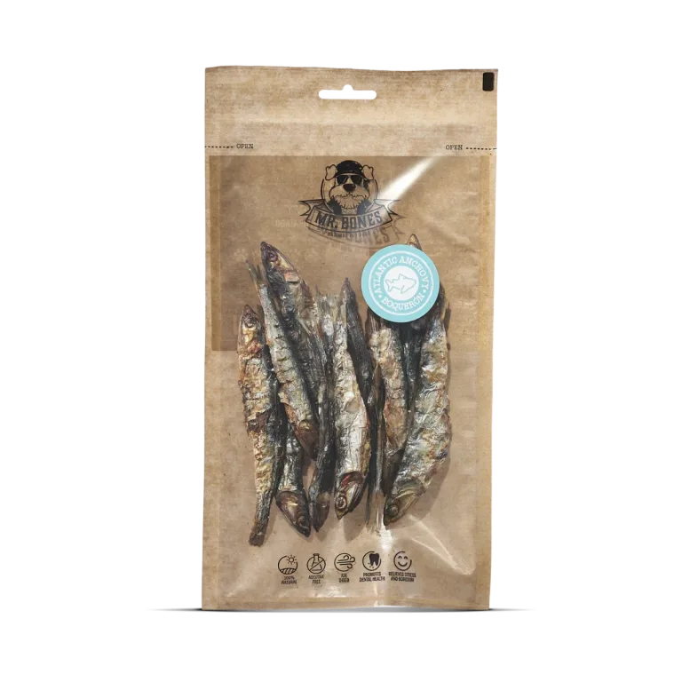 Mr. bones boqueron del atlantico