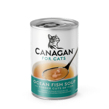 Canagan sopa de pescado oceánico